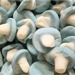 bubblegum mushrooms (gummy)