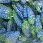 FRUITS FIZZY SOUR BLUE RASPBERRIES (V)
