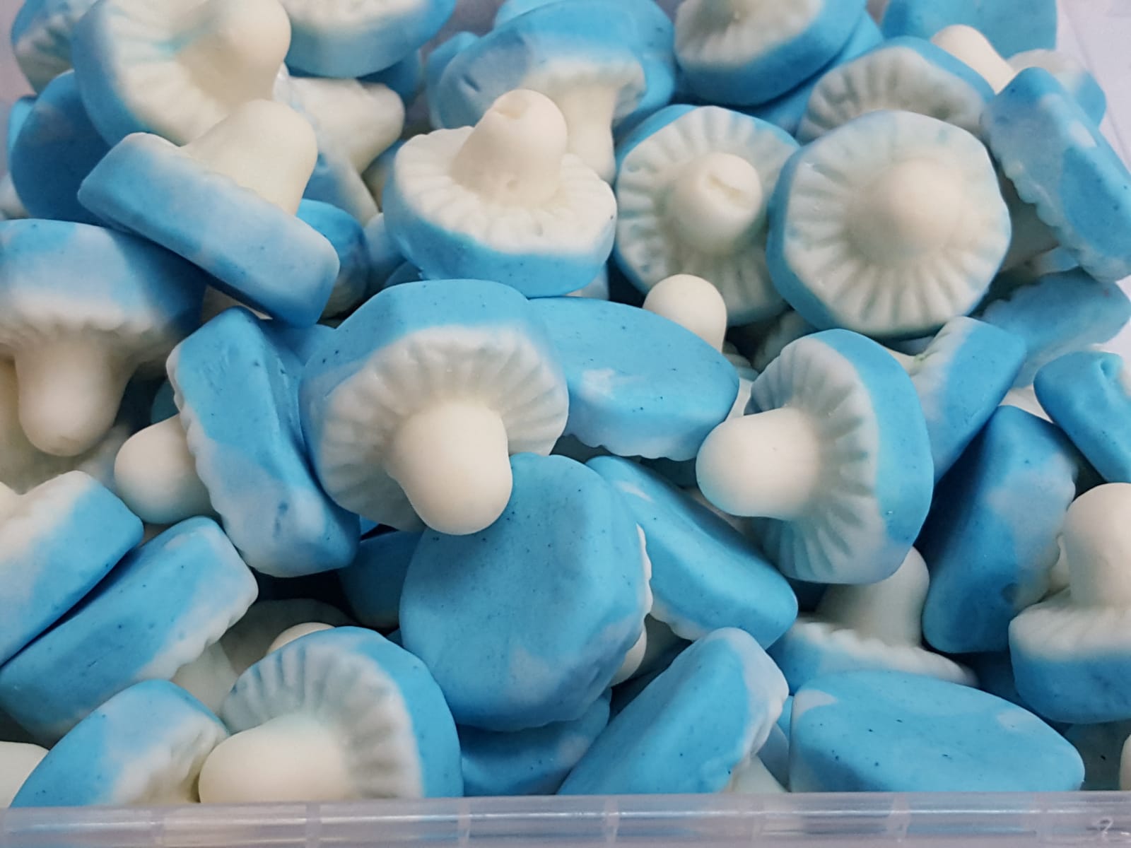 big blue raspberry flavour mushrooms